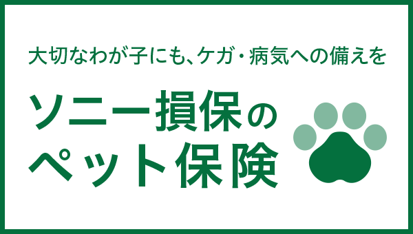 ペット保険（ソニー損保）取扱開始しました